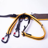 Rogz AirTech Sport Belt & Lead