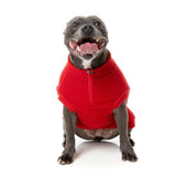 Upmarket Pets | FuzzYard Cambridge Sweater | Shop Dog Coats Online