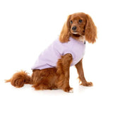 Upmarket Pets | FuzzYard Cambridge Sweater | Shop Dog Coats Online