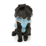 Upmarket Pets | FuzzYard Essential Puffer Jacket | Shop Dog Coats Online