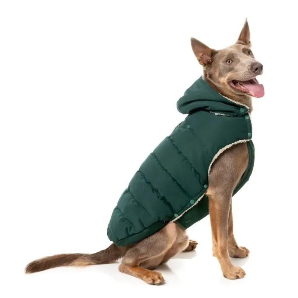 Upmarket Pets | FuzzYard Essential Puffer Jacket | Shop Dog Coats Online
