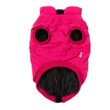 Upmarket Pets | FuzzYard Flash Jacket | Shop dog coats online