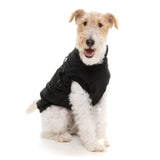 Upmarket Pets | FuzzYard Flash Jacket | Shop dog coats online