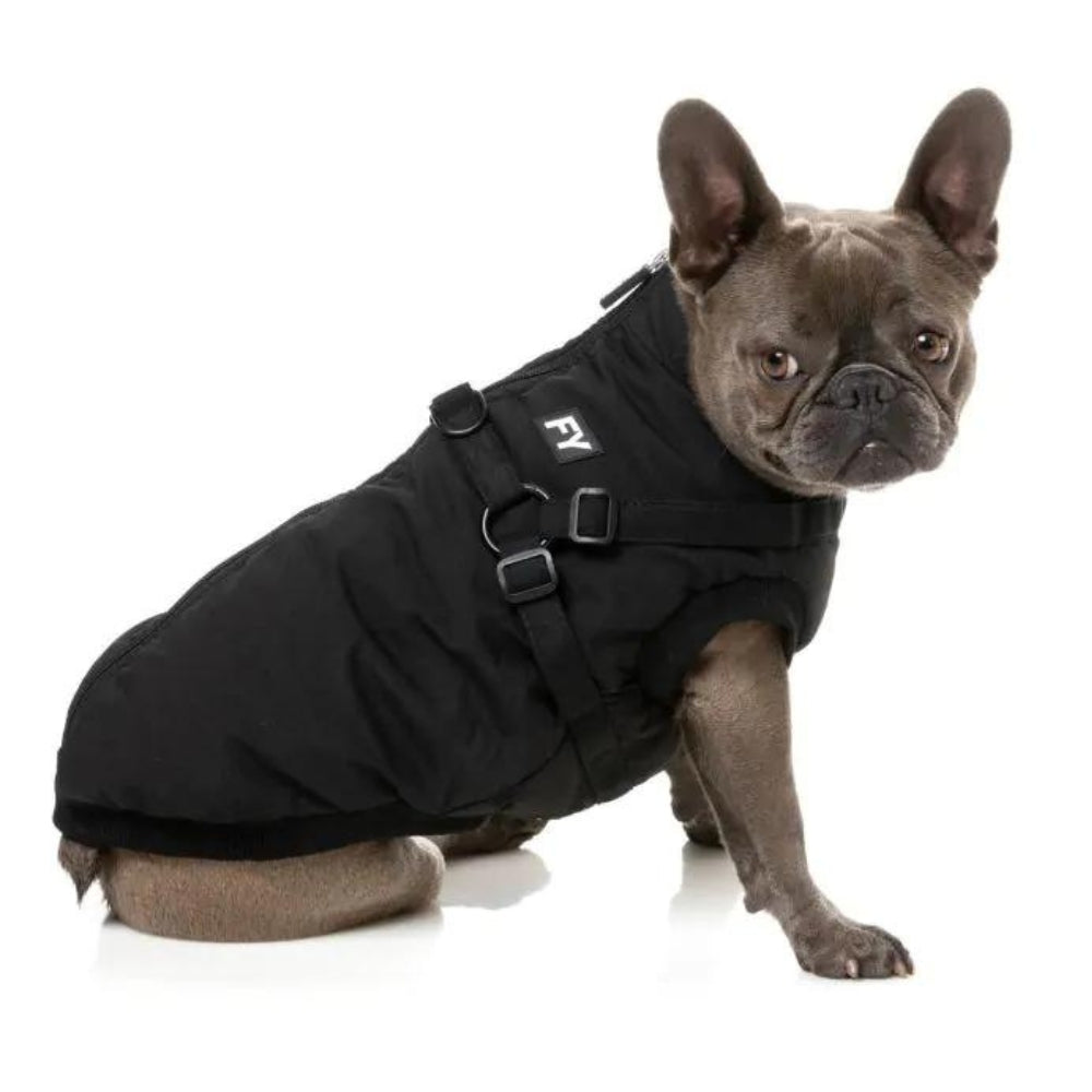 Upmarket Pets | FuzzYard Flash Jacket | Shop dog coats online