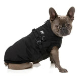 Upmarket Pets | FuzzYard Flash Jacket | Shop dog coats online