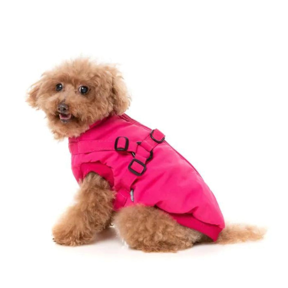 Upmarket Pets | FuzzYard Flash Jacket | Shop dog coats online