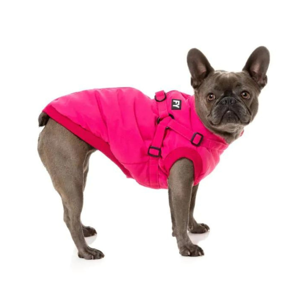 Upmarket Pets | FuzzYard Flash Jacket | Shop dog coats online