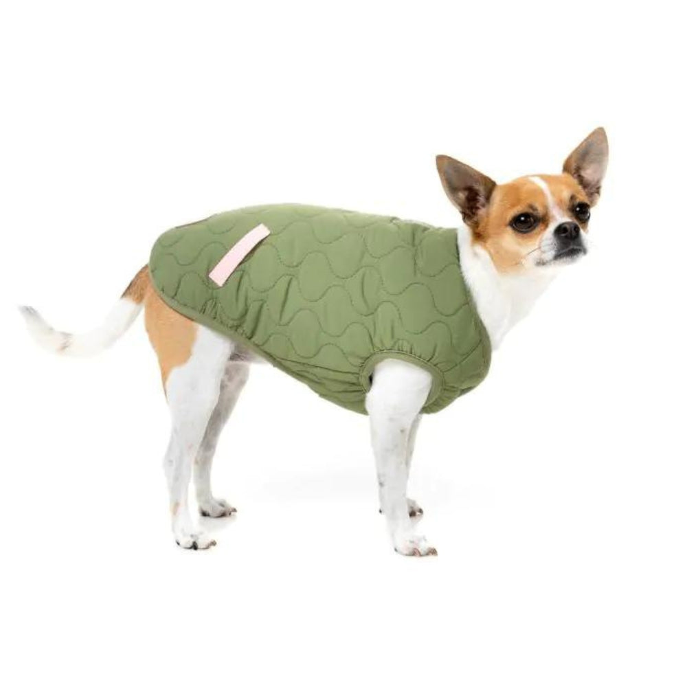 Upmarket Pets | FuzzYard Nara Jacket | Shop dog coats online