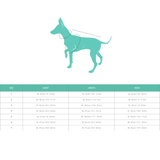 Upmarket Pets | FuzzYard Flash Jacket | Shop dog coats online
