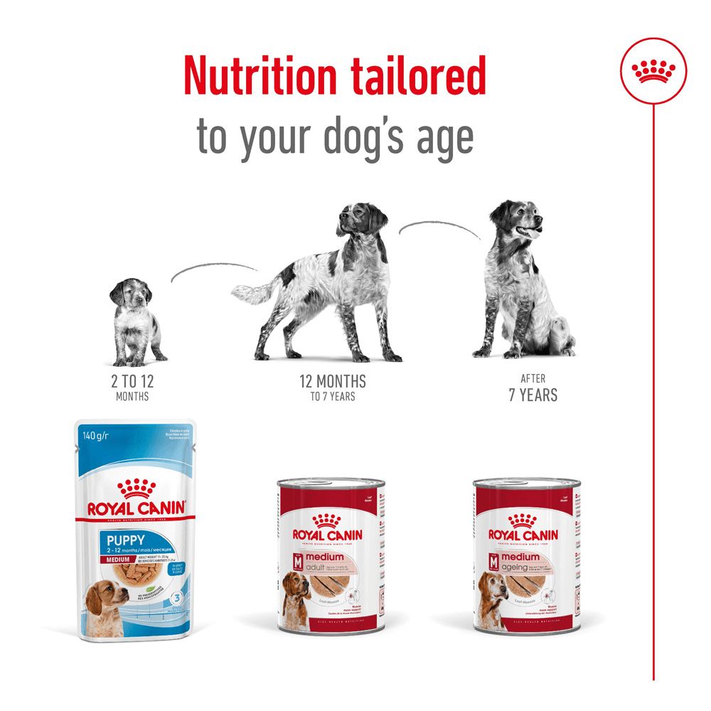 Royal Canin Dog Medium Adult Can