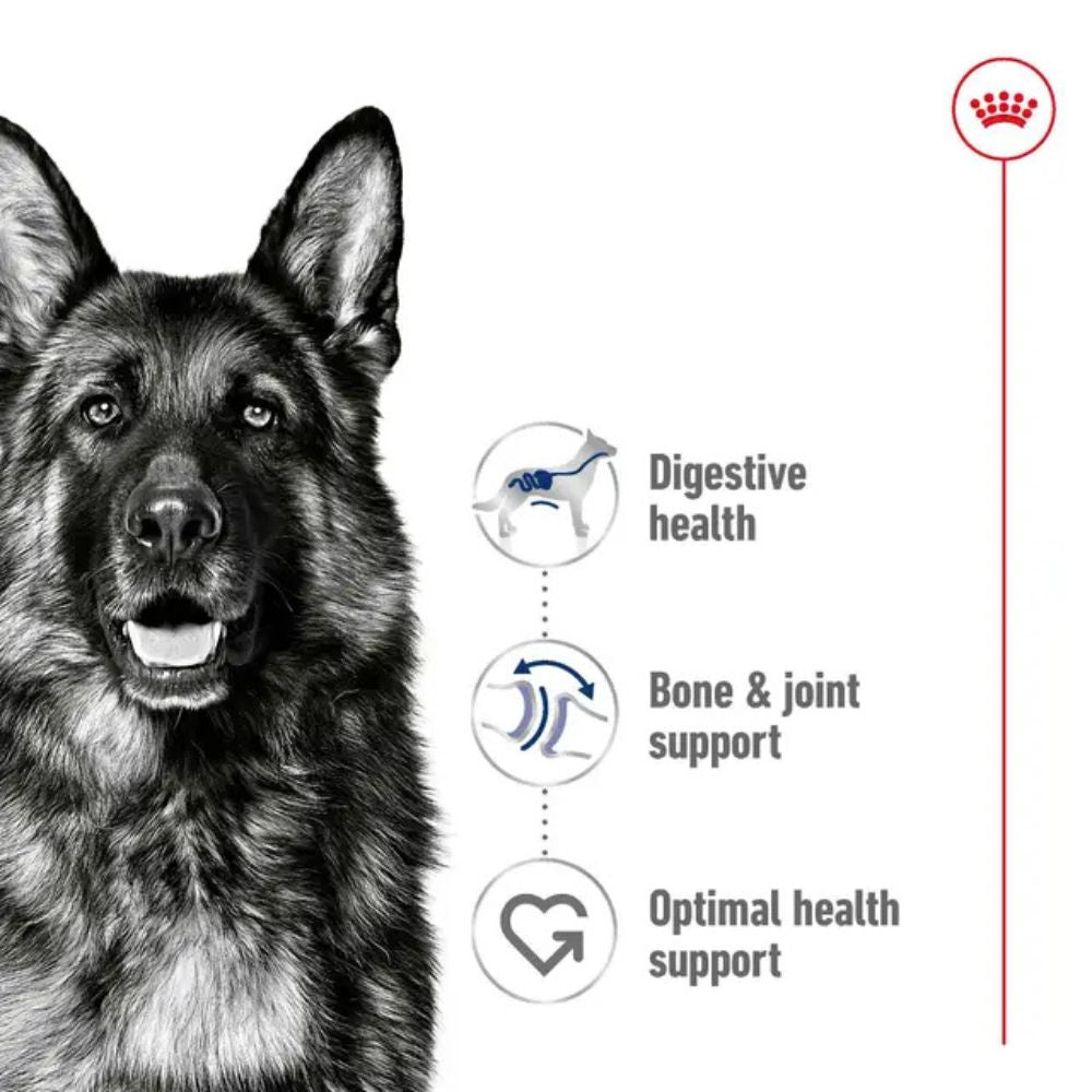 Royal Canin Dog Maxi Adult Can