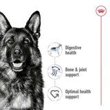 Royal Canin Dog Maxi Adult Can