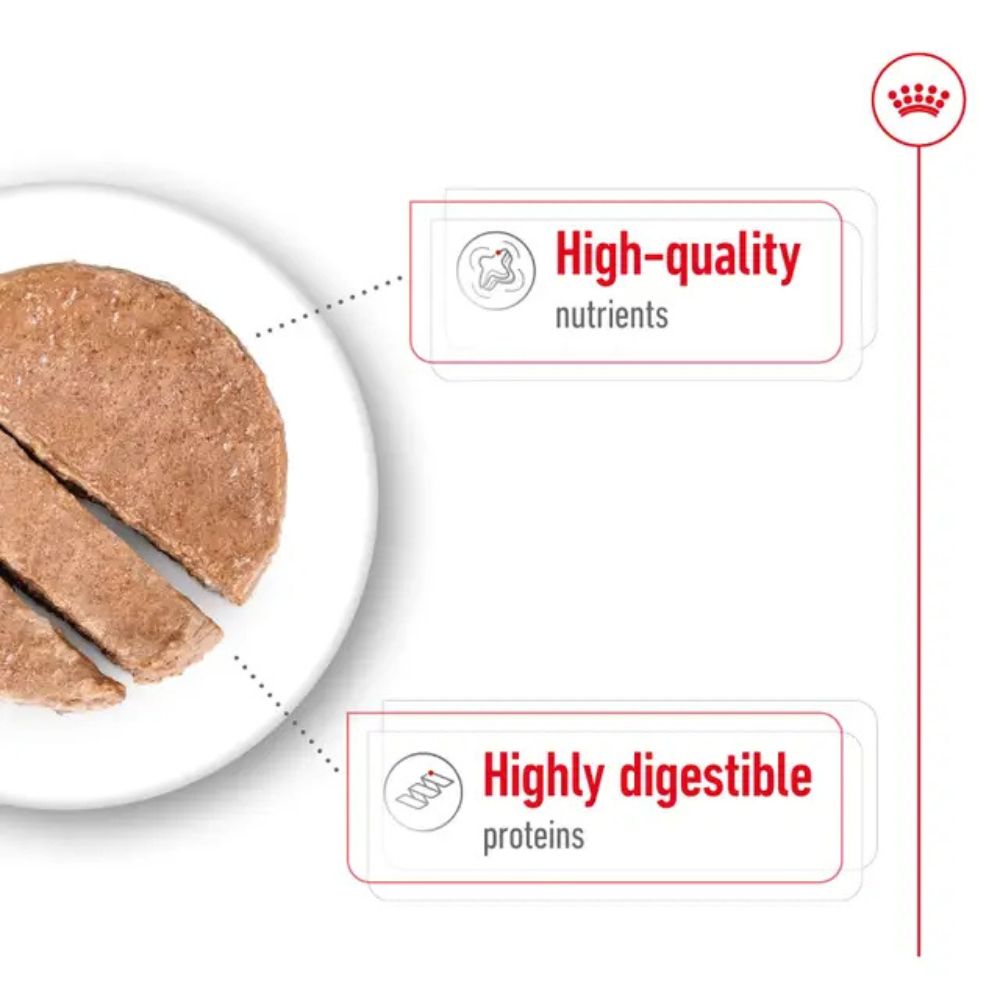 Royal Canin Dog Maxi Adult Can