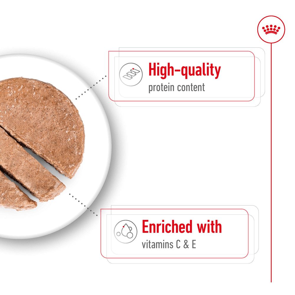 Royal Canin Dog Medium Adult Can