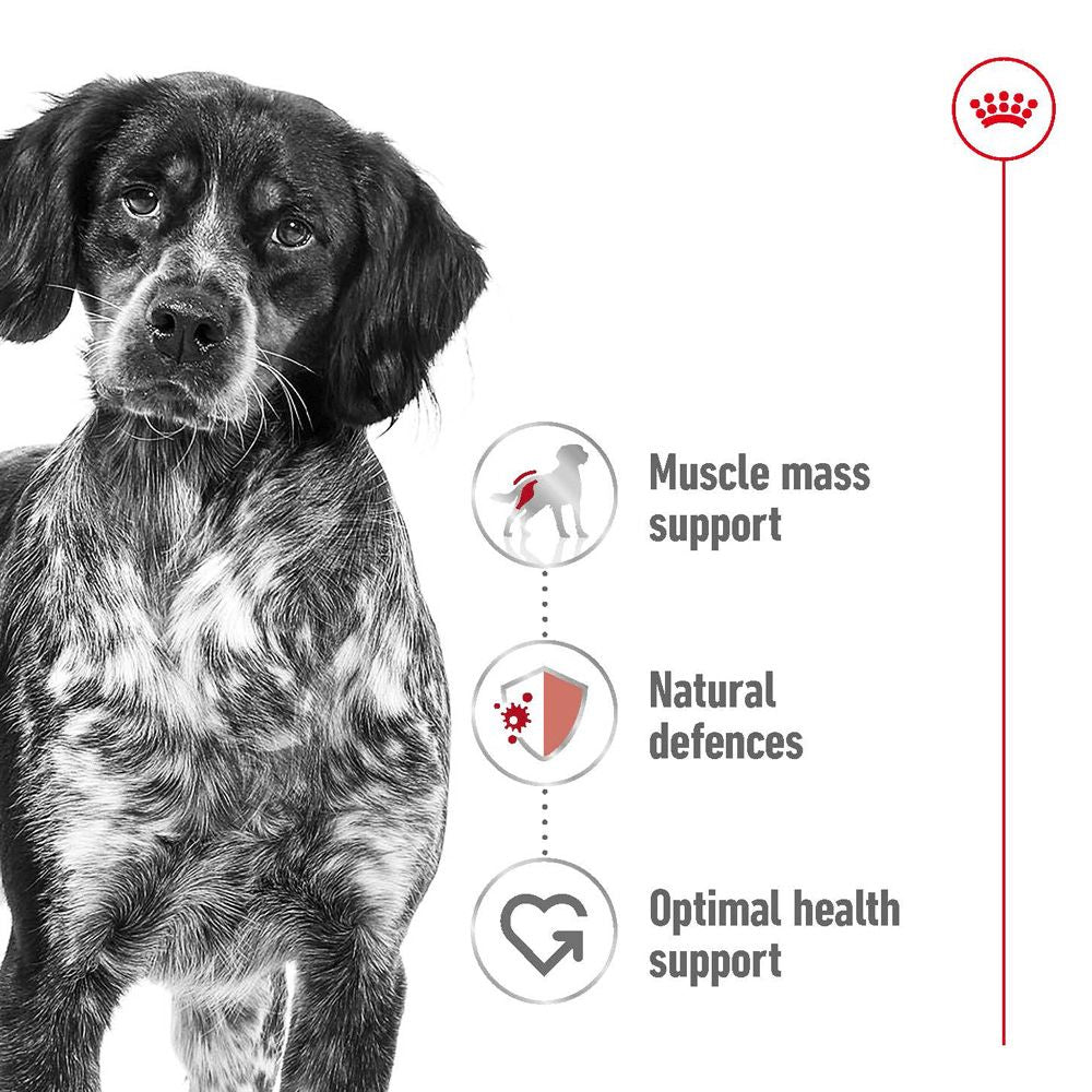 Royal Canin Dog Medium Adult Can