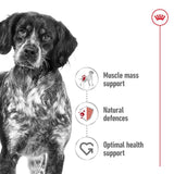 Royal Canin Dog Medium Adult Can