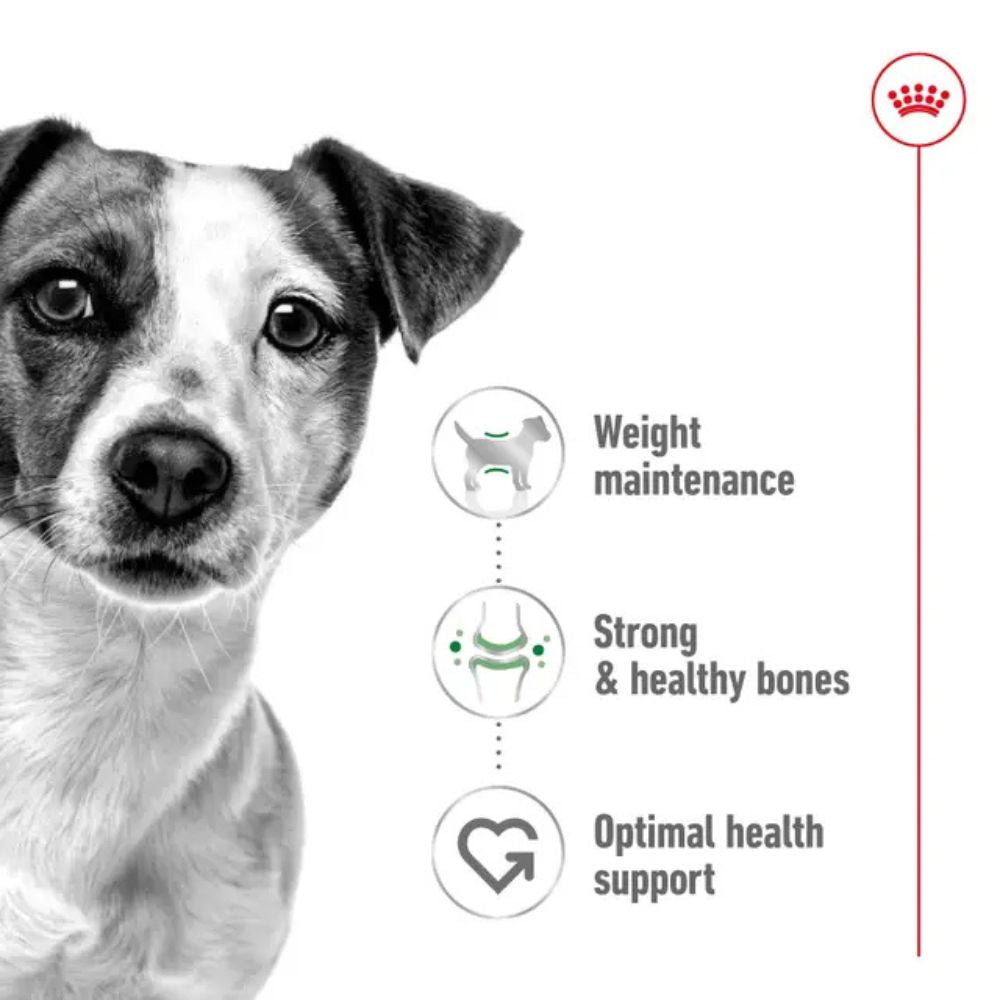 Royal Canin Dog Mini Adult Can