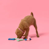 Gummi - Tennis Bones Pack