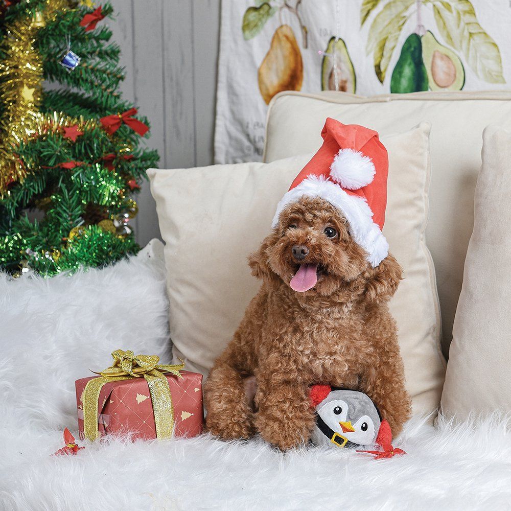Upmarket Pets & Aquarium | HugSmart Super Ball Happy Woofmas Penguin | Shop dog toys online