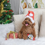Upmarket Pets & Aquarium | HugSmart Super Ball Happy Woofmas Penguin | Shop dog toys online
