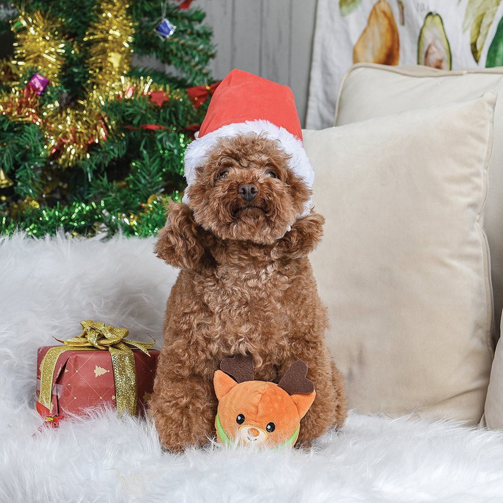 Upmarket Pets & Aquarium | HugSmart Super Ball Happy Woofmas Reindeer | Shop dog toys online