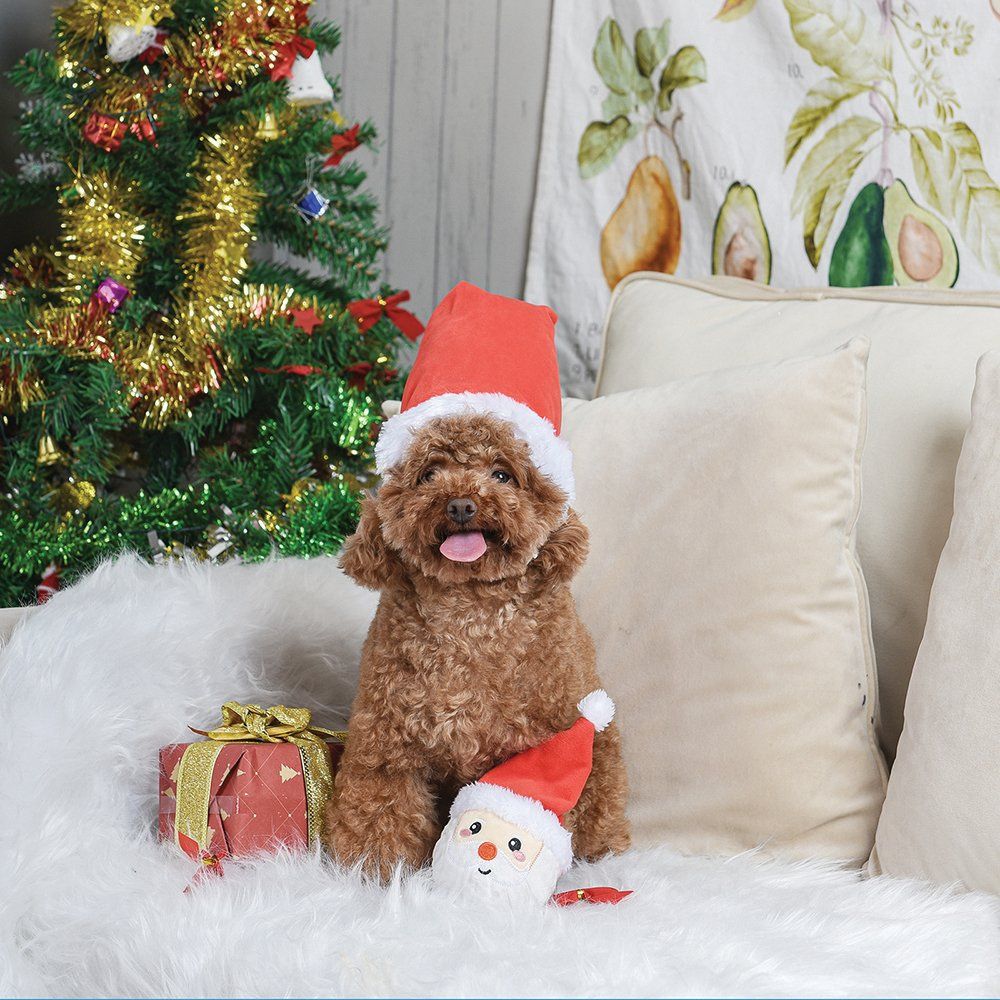 Upmarket Pets & Aquarium | HugSmart Super Ball Happy Woofmas Santa | Shop dog toys online