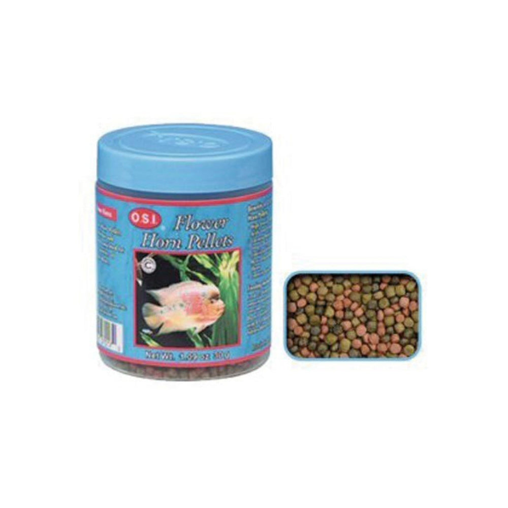 Upmarket Pets & Aquarium | OSI Flower Horn Pellets | Shop aquarium fish food online