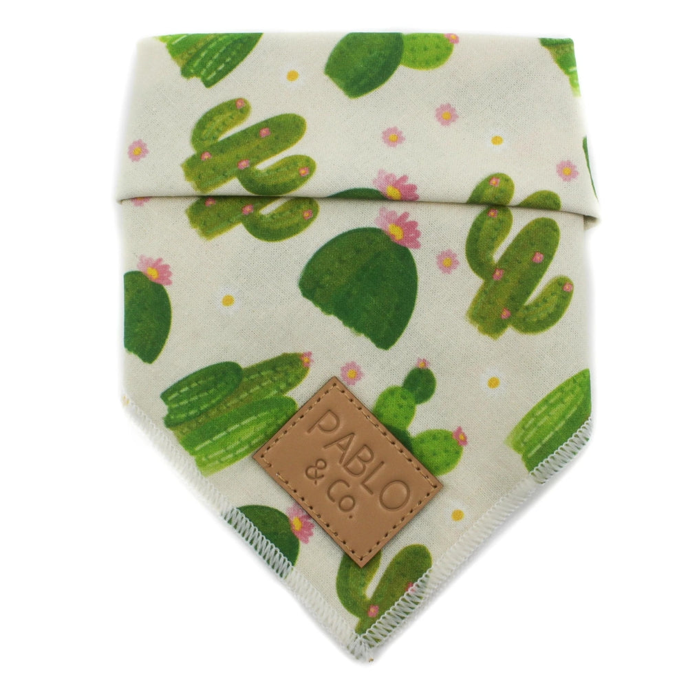 Upmarket Pets & Aquarium | Pablo & Co Cactus Bandana Medium | Shop dog apparel online