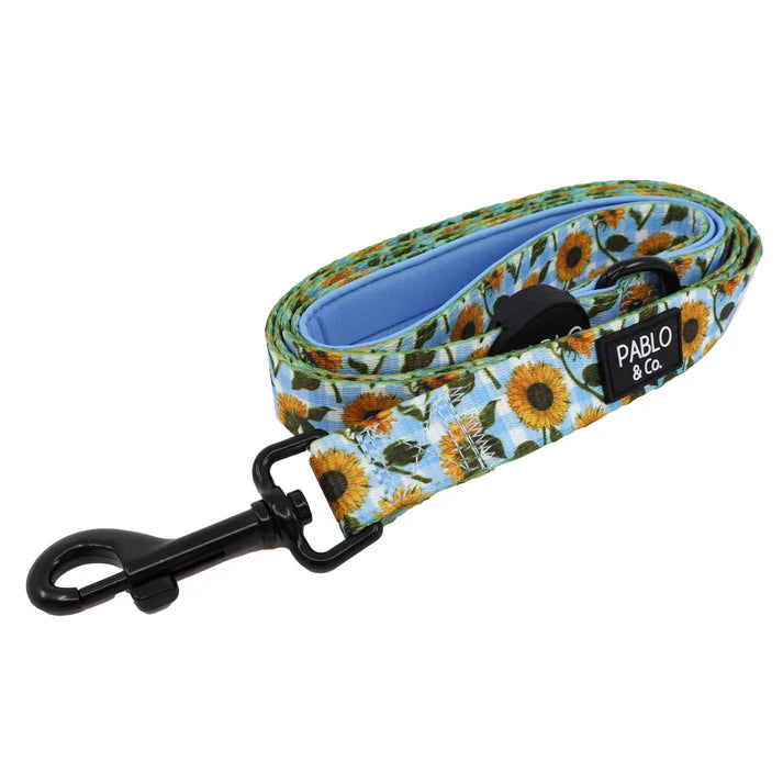 Pablo & Co Dog Leash Sunny Sunflowers