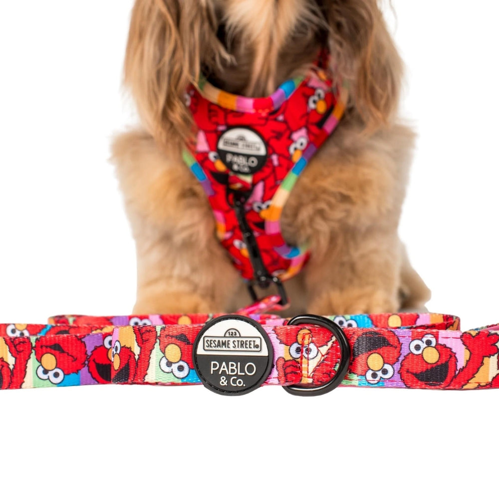 Upmarket Pets & Aquarium | Pablo & Co Elmo Dog Leash | Shop dog harness collar & leads online