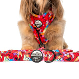 Upmarket Pets & Aquarium | Pablo & Co Elmo Dog Leash | Shop dog harness collar & leads online