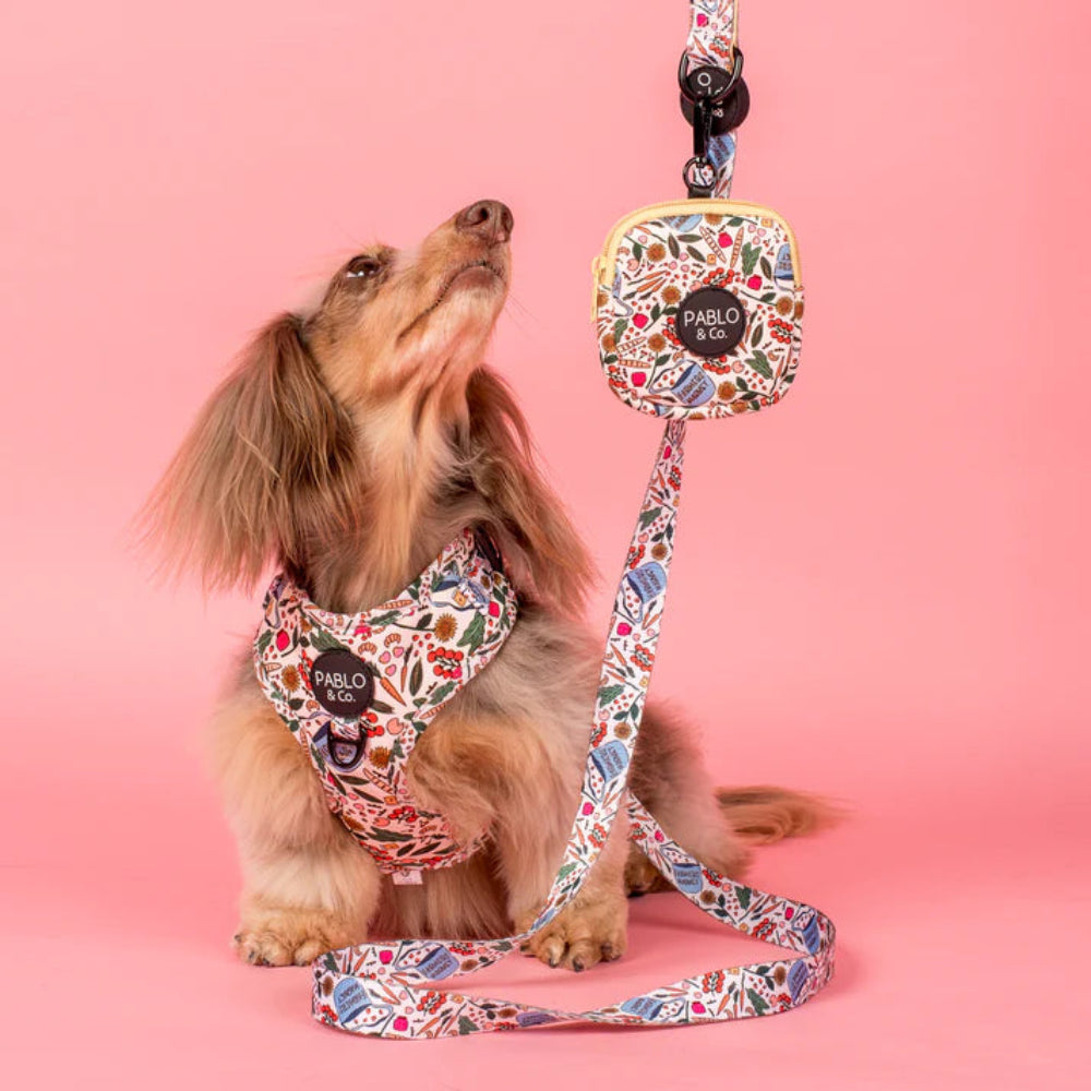 Pablo & Co Treat Pouch Farmers Market