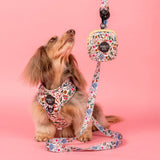 Pablo & Co Treat Pouch Farmers Market