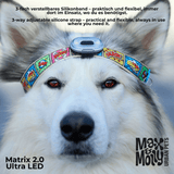 Max & Molly Matrix 2.0 Ultra Led Safety Light
