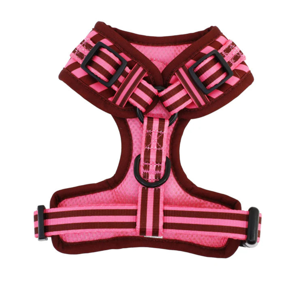 Pablo & Co Adjustable Harness Blushing Stripes