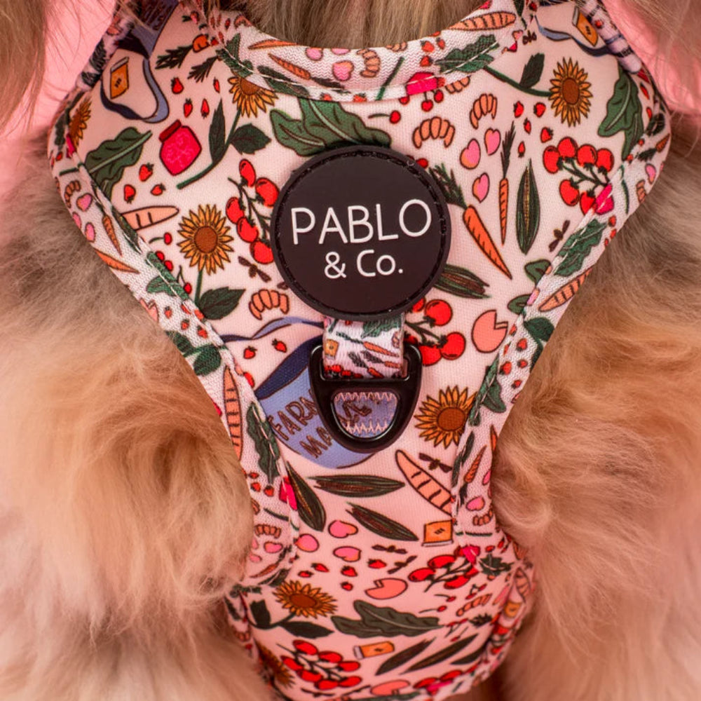 Pablo & Co Adjustable Harness Farmers Market