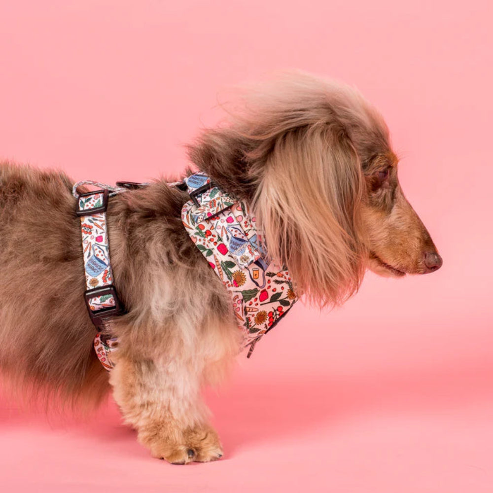 Pablo & Co Adjustable Harness Farmers Market