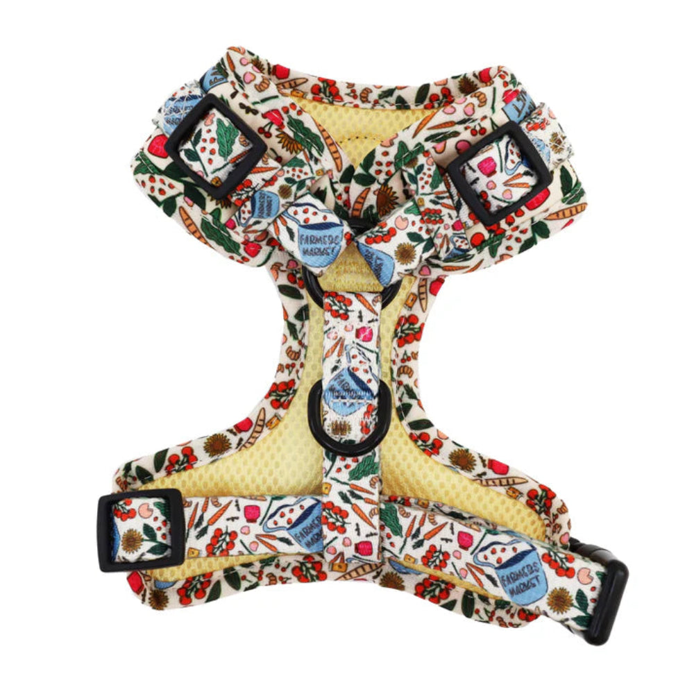 Pablo & Co Adjustable Harness Farmers Market