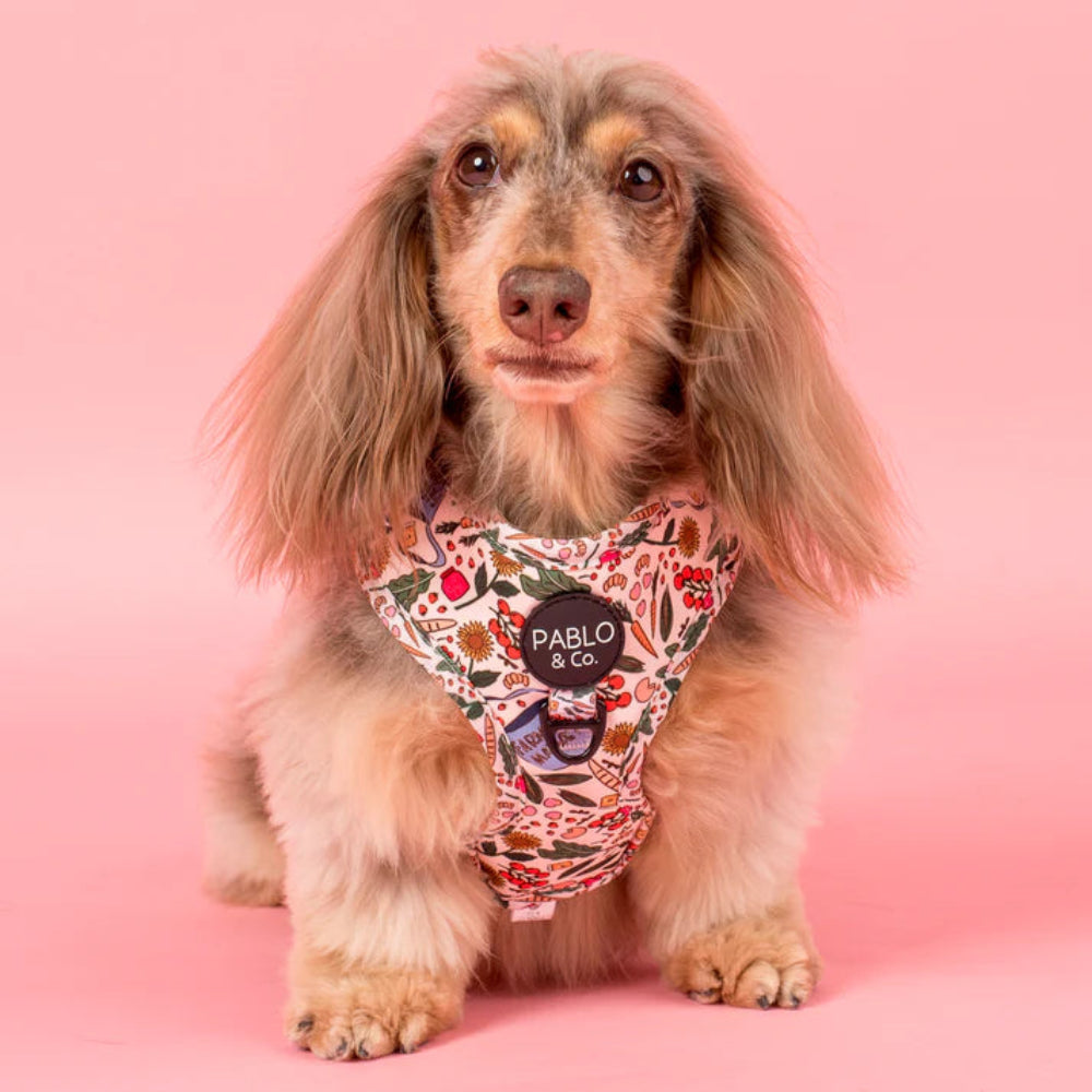 Pablo & Co Adjustable Harness Farmers Market