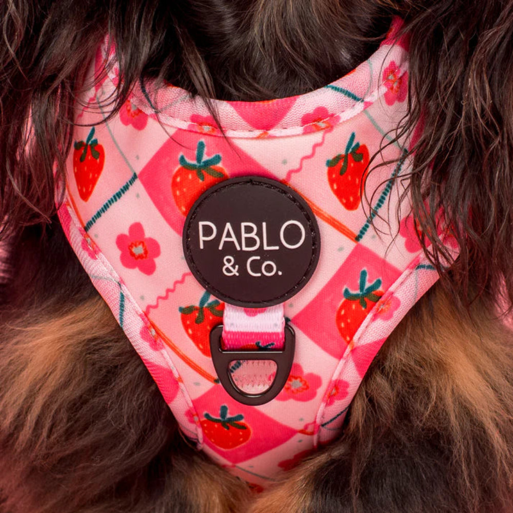 Pablo & Co Adjustable Harness Strawberry Patch
