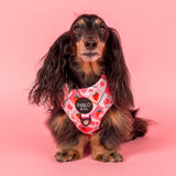 Pablo & Co Adjustable Harness Strawberry Patch