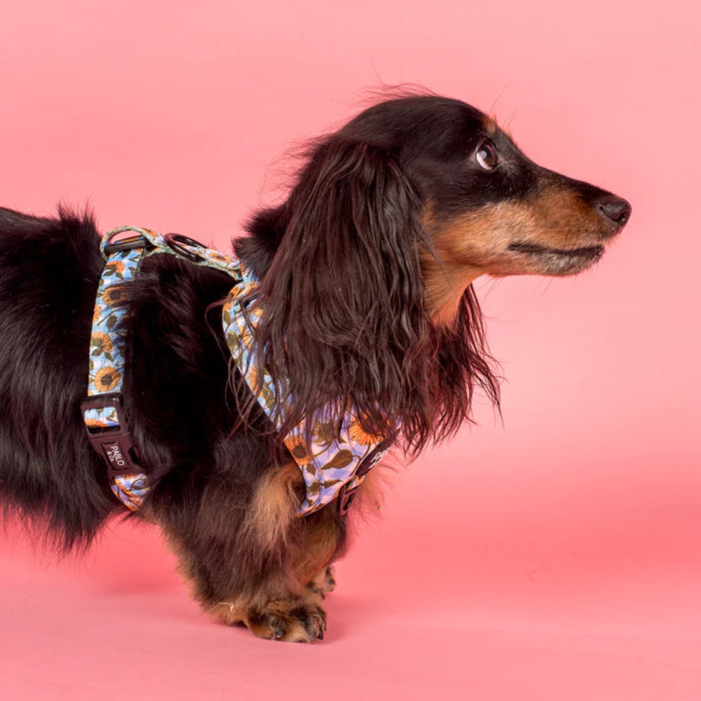 Pablo & Co Adjustable Harness Sunny Sunflowers