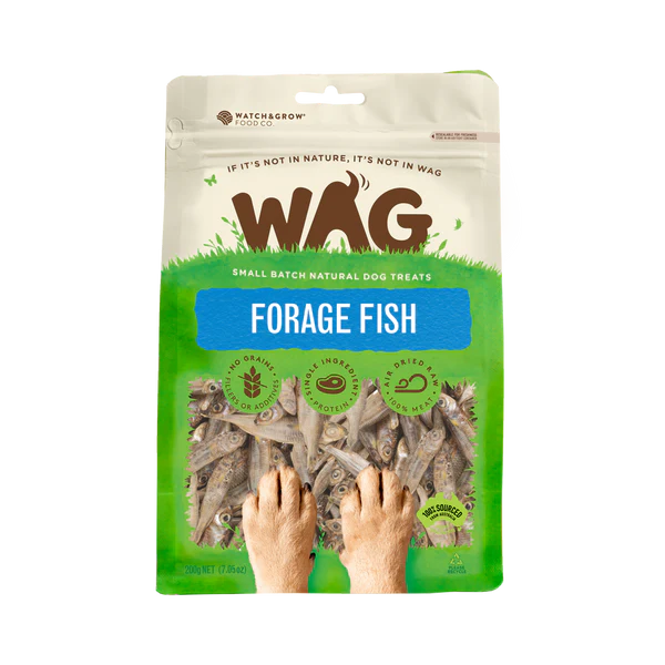 WAG - Forage Fish