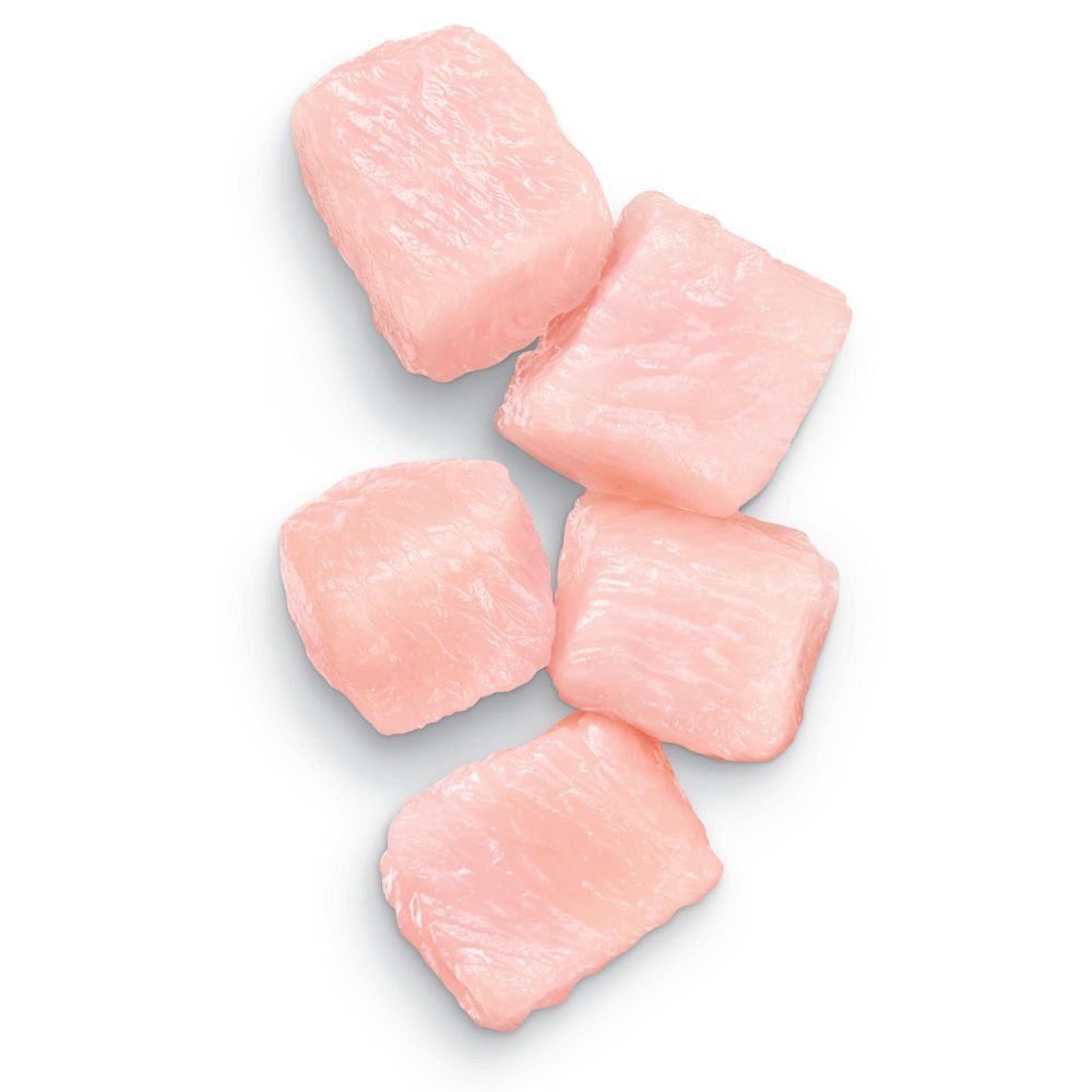 Advance Kitten Chicken