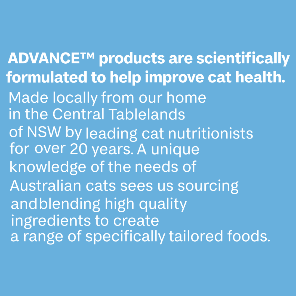 Advance Kitten Chicken