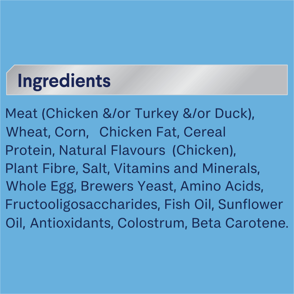 Advance Kitten Chicken