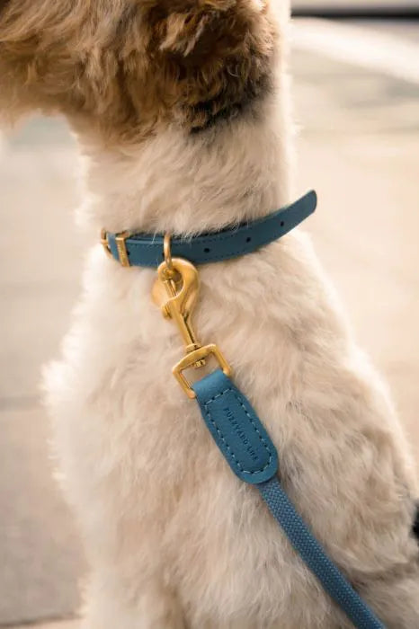 Fuzzyard Life Atelier Rope Dog Lead