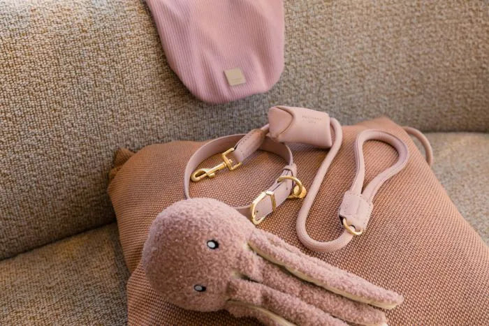 Fuzzyard Life Atelier Dog Collar