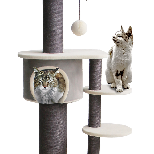Charlie Cat Scratcher