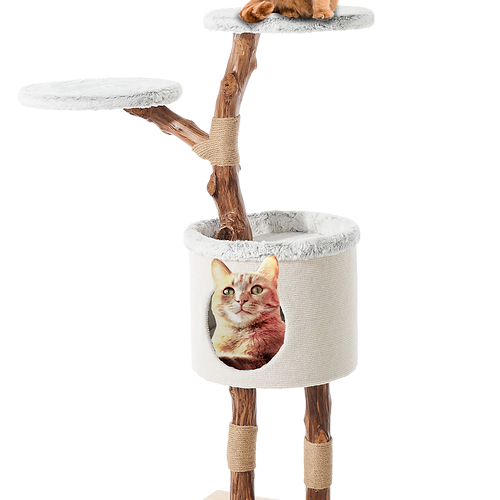 Greenhill Cat Scratcher